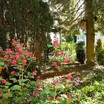 Sanssouci Stahnsdorf