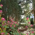 Sanssouci * Stahnsdorf