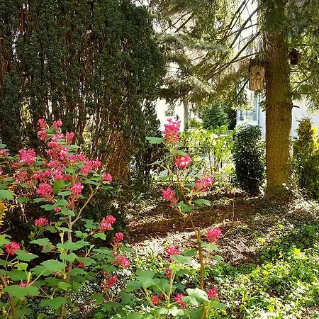 Sanssouci Stahnsdorf