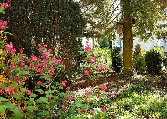 Sanssouci Stahnsdorf