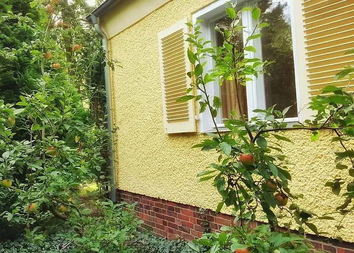 Holiday home Sanssouci