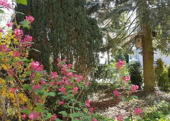 Sanssouci * Stahnsdorf